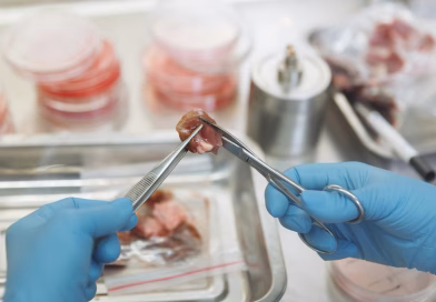 Can Lab-Grown Meat Go Mainstream in 2025?